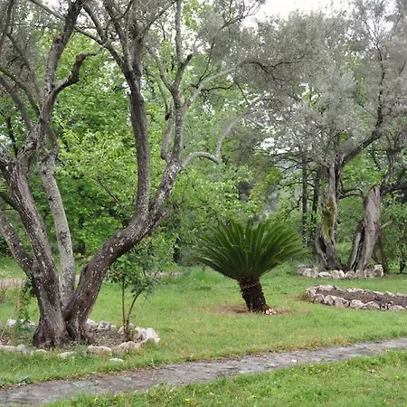 Erietta * Λευκάδα